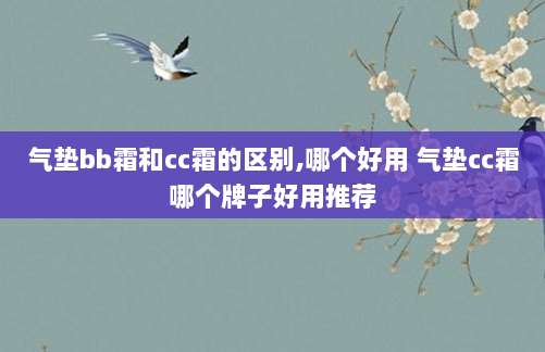 气垫bb霜和cc霜的区别,哪个好用 气垫cc霜哪个牌子好用推荐