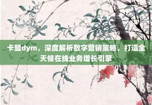 卡盟dym，深度解析数字营销策略，打造全天候在线业务增长引擎