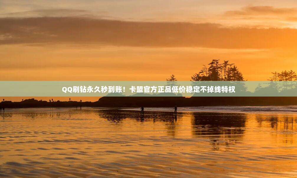 QQ刷钻永久秒到账！卡盟官方正品低价稳定不掉线特权