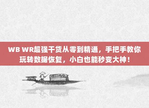 WB WR超强干货从零到精通，手把手教你玩转数据恢复，小白也能秒变大神！
