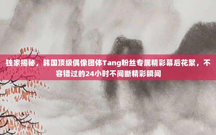 独家揭秘，韩国顶级偶像团体Tang粉丝专属精彩幕后花絮，不容错过的24小时不间断精彩瞬间