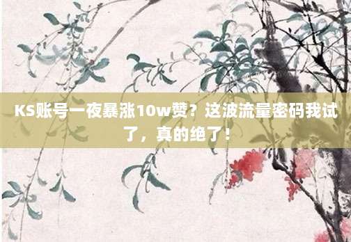 KS账号一夜暴涨10w赞？这波流量密码我试了，真的绝了！