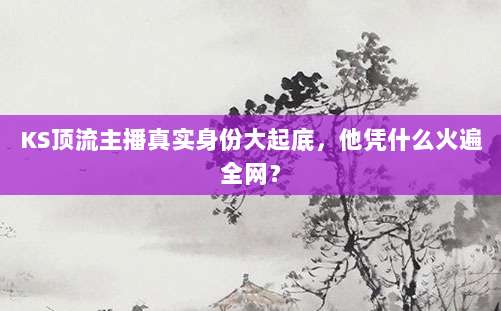 KS顶流主播真实身份大起底，他凭什么火遍全网？