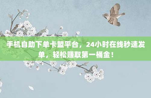 手机自助下单卡盟平台，24小时在线秒速发单，轻松赚取第一桶金！