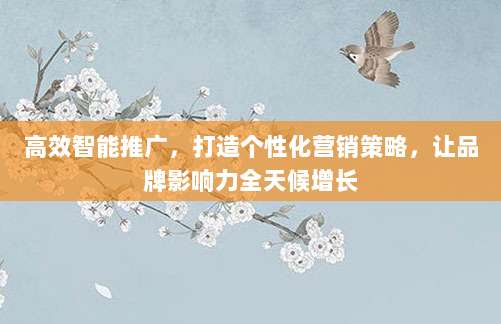 高效智能推广，打造个性化营销策略，让品牌影响力全天候增长