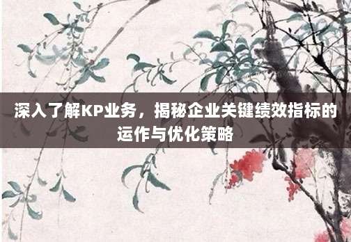 深入了解KP业务，揭秘企业关键绩效指标的运作与优化策略