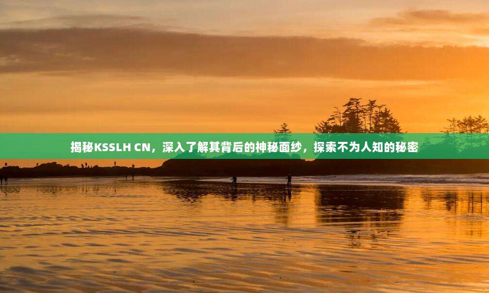 揭秘KSSLH CN，深入了解其背后的神秘面纱，探索不为人知的秘密
