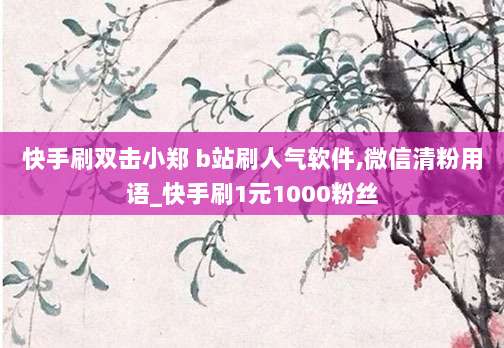 快手刷双击小郑 b站刷人气软件,微信清粉用语_快手刷1元1000粉丝