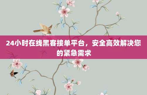 24小时在线黑客接单平台，安全高效解决您的紧急需求