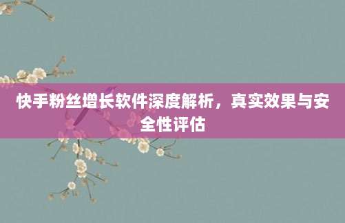 快手粉丝增长软件深度解析，真实效果与安全性评估