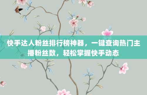 快手达人粉丝排行榜神器，一键查询热门主播粉丝数，轻松掌握快手动态