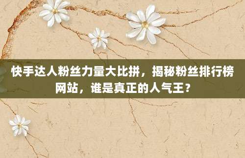 快手达人粉丝力量大比拼，揭秘粉丝排行榜网站，谁是真正的人气王？