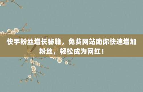 快手粉丝增长秘籍，免费网站助你快速增加粉丝，轻松成为网红！