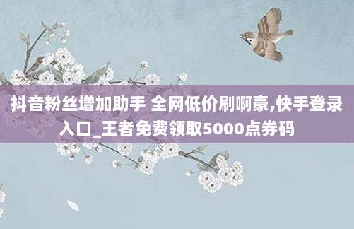 抖音粉丝增加助手 全网低价刷啊豪,快手登录入口_王者免费领取5000点券码