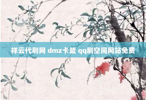 祥云代刷网 dmz卡盟 qq刷空间网站免费